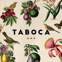 Taboca Tapiocaria icon