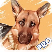 Dog Breed Identifier PRO icon