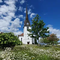 reformierte kirche gossau zh icon