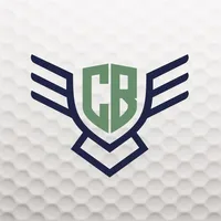 Chasing-Birdies icon