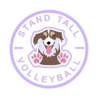 Stand Tall Volleyball icon