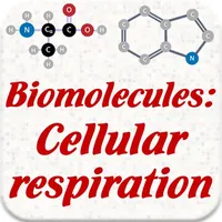 Biomolecules: Cell respiration icon