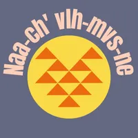 Naa-ch_vlh-mvs-ne icon