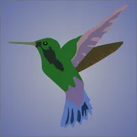 Bird Species Identifier icon