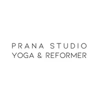 Prana Studio icon