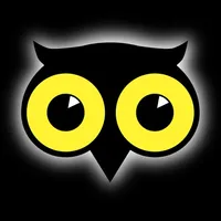 Owl Nest: Kid's daily routine icon