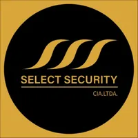 Select Security icon