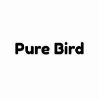 Pure Bird icon