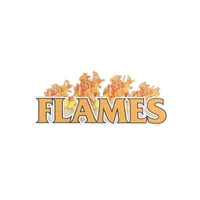 Flames Grimsby icon