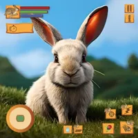 Cute Rabbit Bunny Pet Game Sim icon