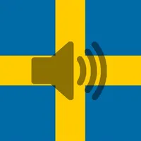 Swedish Phrasebook icon