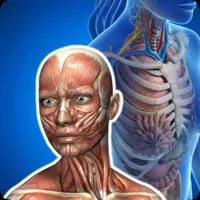 Anatomia Humana - 0001 icon