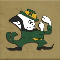 Bishop McNamara Fightin' Irish icon