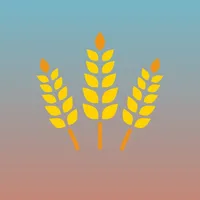 DailyRice icon