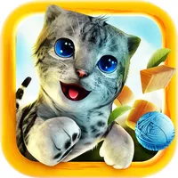 猫咪生存模拟器-猫咪幸福生活二重奏 icon