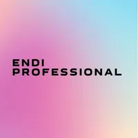 Endi Pro icon