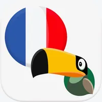 Frenchify - Learn French Now icon