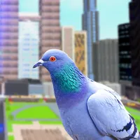 Pigeon Bird Simulator icon