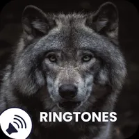 Wolf Sounds Ringtones icon