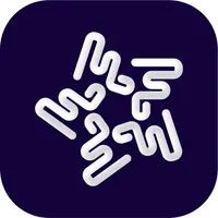 Flashak Riders icon