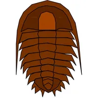 Fossilizer icon