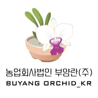 Buyang orchid KR icon