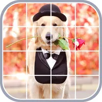 Antistress Jigsaw Puzzle icon