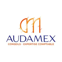 AUDAMEX icon