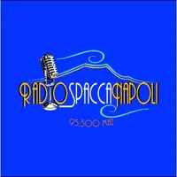 RADIO SPACCA NAPOLI icon