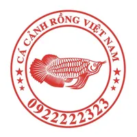 RỒNG VIỆT NAM icon