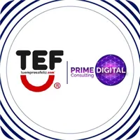 TEF VR icon