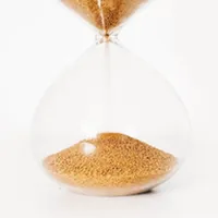 Shorebird Clock icon