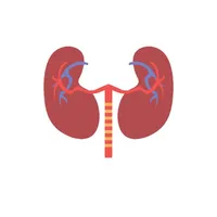 Renal Dialysis icon