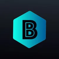 BlissVPN icon