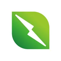 ST Green icon