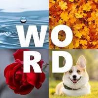 Word 4 Pics Puzzle icon