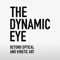 The Dynamic Eye Exhibition icon