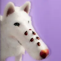 Dog ASMR: Skincare & Makeover icon