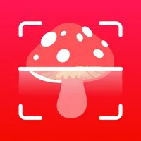 Mushroom ID - Identification icon