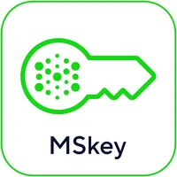 MSkey icon