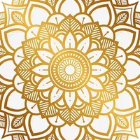 Mandala Maker 360 Pro icon