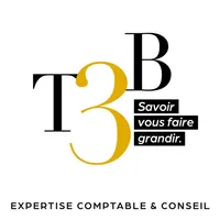 T3B Expertise & Conseil icon