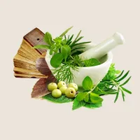 Ayurvedic Remedies - Treatment - Herbs icon