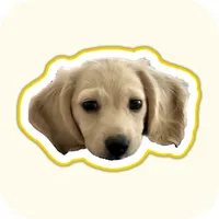 Fluff - Only Pets icon