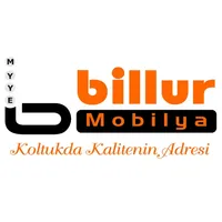 Billur Mobilya icon