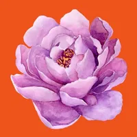 September Peony icon