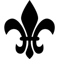 Natação Flor de Liz icon