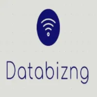 Databizng icon