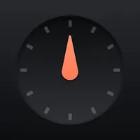 Rad Timer. icon