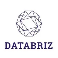 Databriz mobile icon